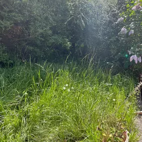 Bild von JW Landscapes