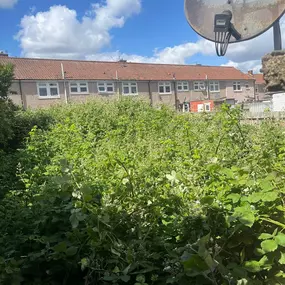 Bild von JW Landscapes