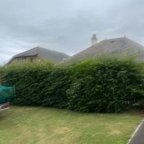 Bild von JW Landscapes