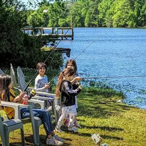 Bild von Bells Marina & Resort