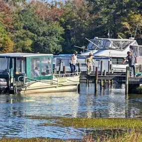 Bild von Bells Marina & Resort