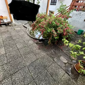 Eichhorn Bau GmbH, Vitis