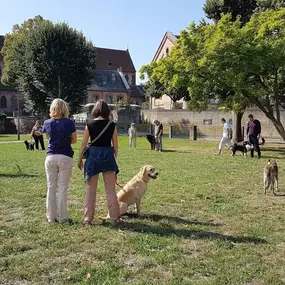 Bild von Education Formation Pension Canine les 2 Complices Bas Rhin Alsace