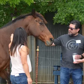 Equine assisted psychotherapy session in an outdoor environment at Pecan Creek Ranch.