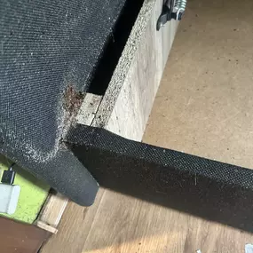 Bild von STOP INSEKTOM Dezynsekcja Dezynfekcja Deratyzacja Wymrażanie Pluskiew