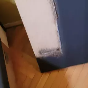 Bild von STOP INSEKTOM Dezynsekcja Dezynfekcja Deratyzacja Wymrażanie Pluskiew