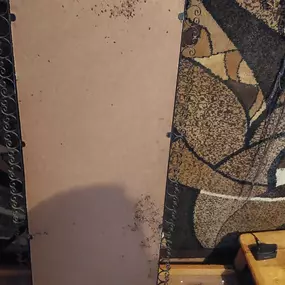 Bild von STOP INSEKTOM Dezynsekcja Dezynfekcja Deratyzacja Wymrażanie Pluskiew