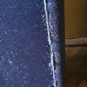 Bild von STOP INSEKTOM Dezynsekcja Dezynfekcja Deratyzacja Wymrażanie Pluskiew