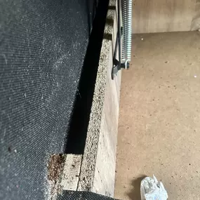 Bild von STOP INSEKTOM Dezynsekcja Dezynfekcja Deratyzacja Wymrażanie Pluskiew