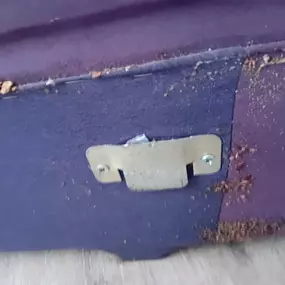 Bild von STOP INSEKTOM Dezynsekcja Dezynfekcja Deratyzacja Wymrażanie Pluskiew