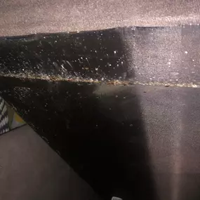 Bild von STOP INSEKTOM Dezynsekcja Dezynfekcja Deratyzacja Wymrażanie Pluskiew