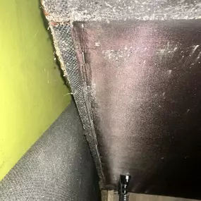 Bild von STOP INSEKTOM Dezynsekcja Dezynfekcja Deratyzacja Wymrażanie Pluskiew