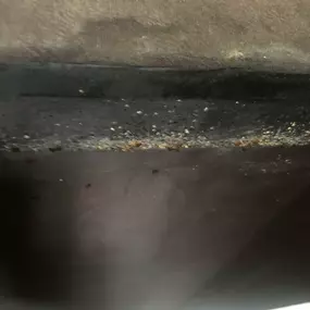 Bild von STOP INSEKTOM Dezynsekcja Dezynfekcja Deratyzacja Wymrażanie Pluskiew