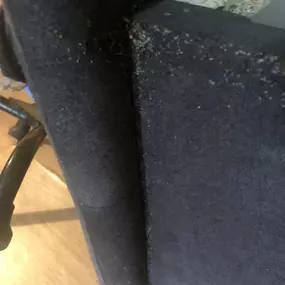 Bild von STOP INSEKTOM Dezynsekcja Dezynfekcja Deratyzacja Wymrażanie Pluskiew