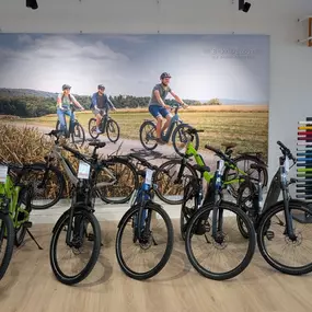 Bild von e-motion e-Bike Welt, Dreirad- & Lastenfahrrad-Zentrum Leipzig-Mölkau
