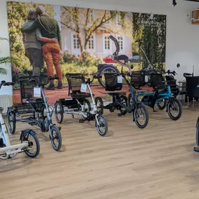 Bild von e-motion e-Bike Welt, Dreirad- & Lastenfahrrad-Zentrum Leipzig-Mölkau
