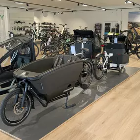 Bild von e-motion e-Bike Welt, Dreirad- & Lastenfahrrad-Zentrum Leipzig-Mölkau