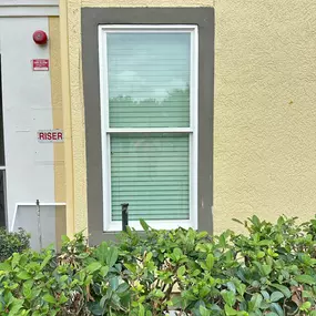 Bild von Window Team USA of Orlando