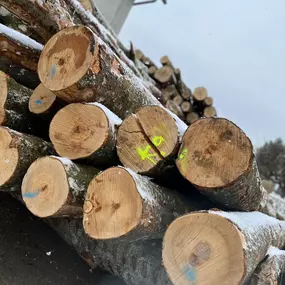Bild von Anton Michel GmbH & Co. KG - Holz-Brennstoffe