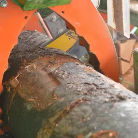 Bild von Anton Michel GmbH & Co. KG - Holz-Brennstoffe