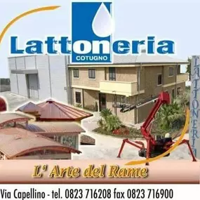 Bild von Lattoneria Cotugno