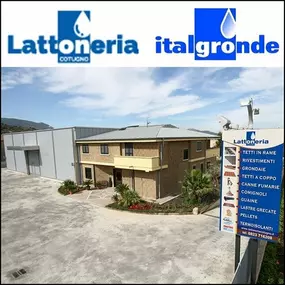 Bild von Lattoneria Cotugno