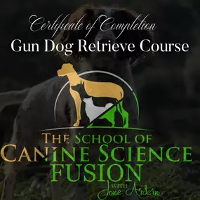 Bild von Four Paws Dog Training