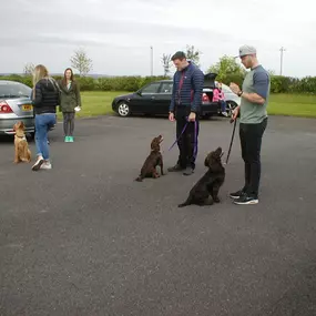 Bild von Four Paws Dog Training