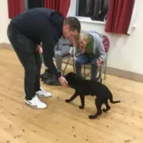 Bild von Four Paws Dog Training