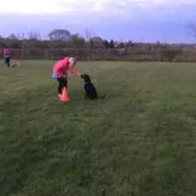 Bild von Four Paws Dog Training