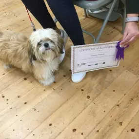 Bild von Four Paws Dog Training