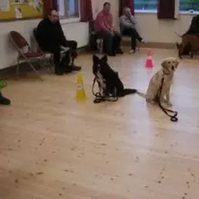 Bild von Four Paws Dog Training