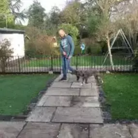 Bild von Four Paws Dog Training
