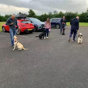 Bild von Four Paws Dog Training