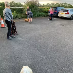 Bild von Four Paws Dog Training