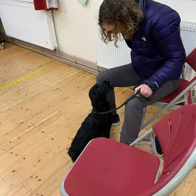 Bild von Four Paws Dog Training