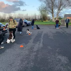 Bild von Four Paws Dog Training