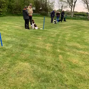 Bild von Four Paws Dog Training
