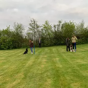 Bild von Four Paws Dog Training