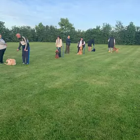 Bild von Four Paws Dog Training