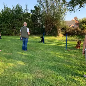 Bild von Four Paws Dog Training