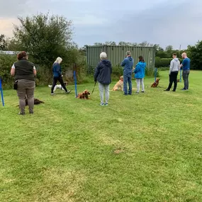 Bild von Four Paws Dog Training