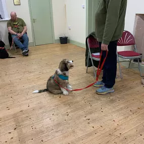 Bild von Four Paws Dog Training