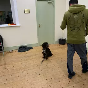 Bild von Four Paws Dog Training