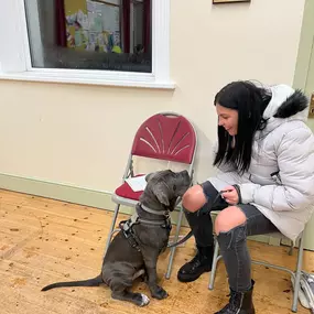 Bild von Four Paws Dog Training