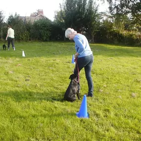 Bild von Four Paws Dog Training
