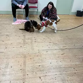 Bild von Four Paws Dog Training
