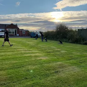 Bild von Four Paws Dog Training