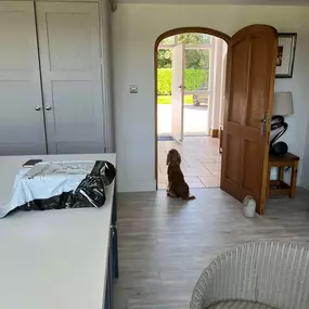 Bild von Four Paws Dog Training