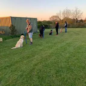 Bild von Four Paws Dog Training